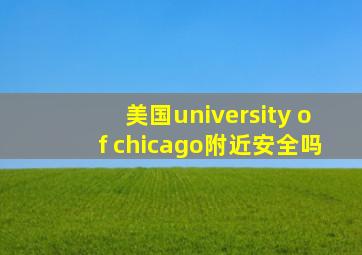 美国university of chicago附近安全吗